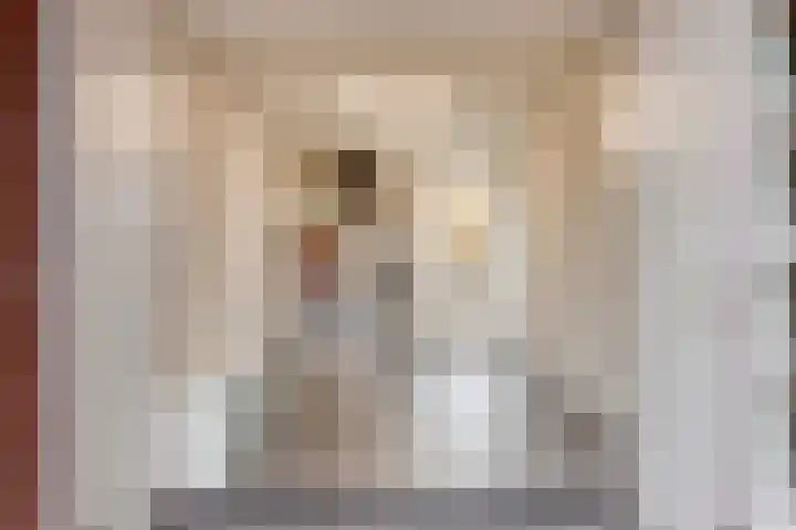 Dorskarstraat 27 Made thumbnail 25
