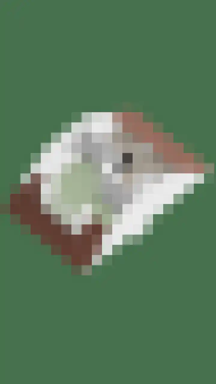 Dorskarstraat 27 Made thumbnail 63