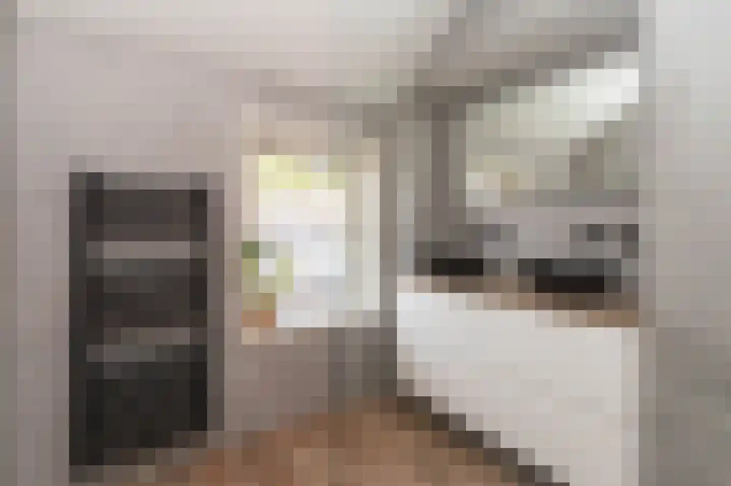 Dorsmanstraat 8 Hilversum thumbnail 17
