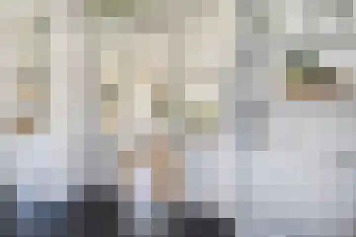 Dorsmolen 2 Denekamp thumbnail 10