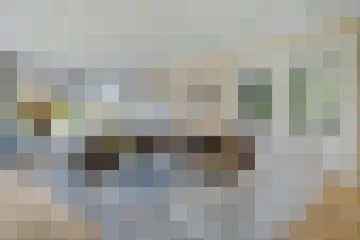 Dorsmolen 2 Denekamp thumbnail 11