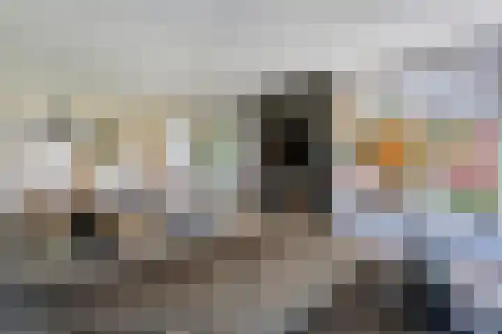Dorsmolen 2 Denekamp thumbnail 12