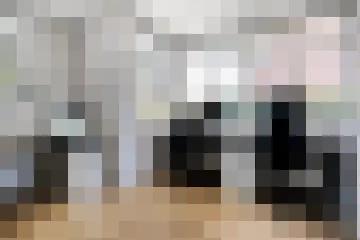 Dorsmolen 2 Denekamp thumbnail 13