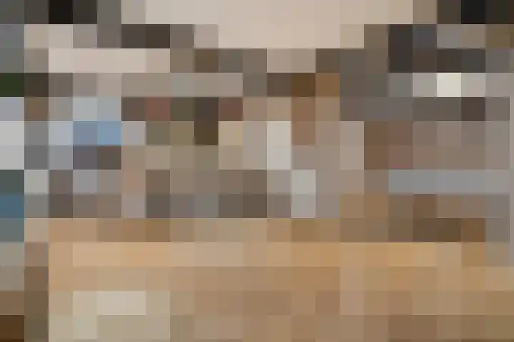 Dorsmolen 2 Denekamp thumbnail 16