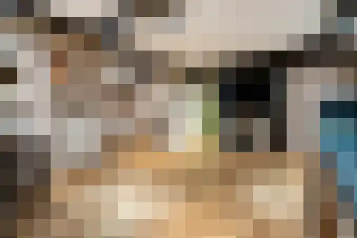 Dorsmolen 2 Denekamp thumbnail 17