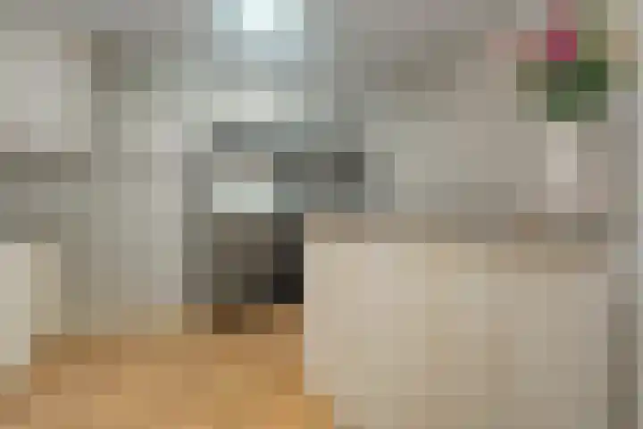 Dorsmolen 2 Denekamp thumbnail 21