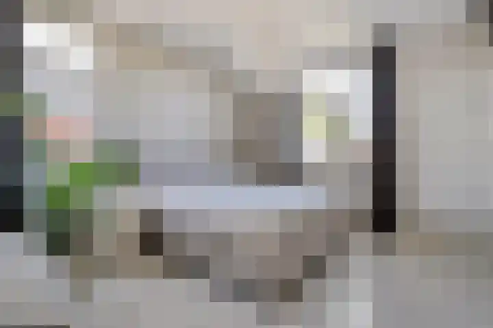 Dorsmolen 2 Denekamp thumbnail 24