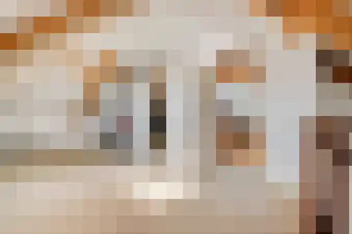 Dorsmolen 2 Denekamp thumbnail 30