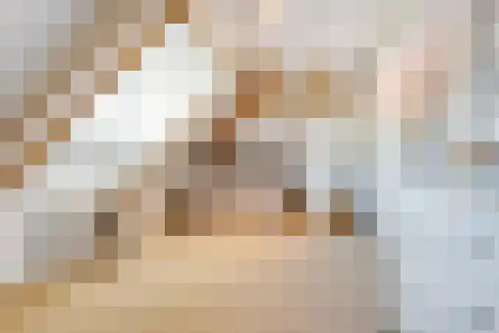Dorsmolen 2 Denekamp thumbnail 32