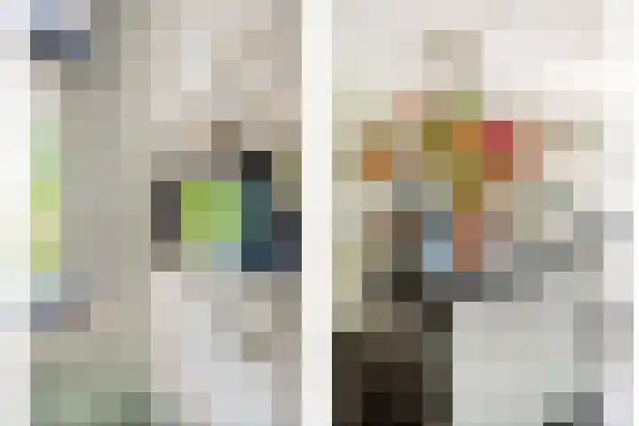 Dorsmolen 2 Denekamp thumbnail 5