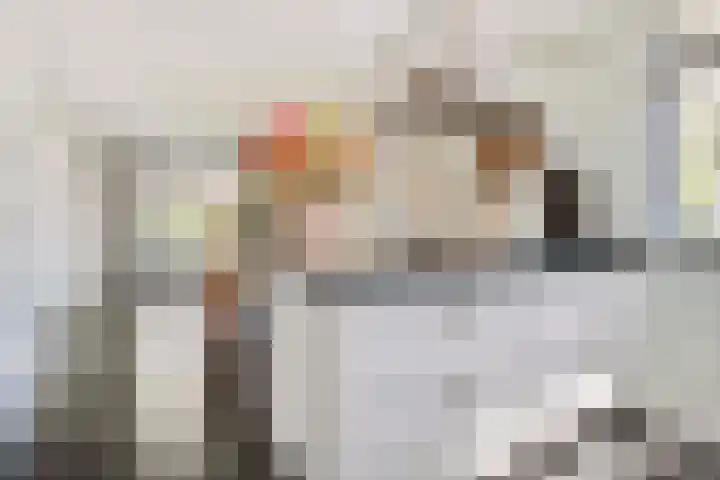 Dorsmolen 2 Denekamp thumbnail 6