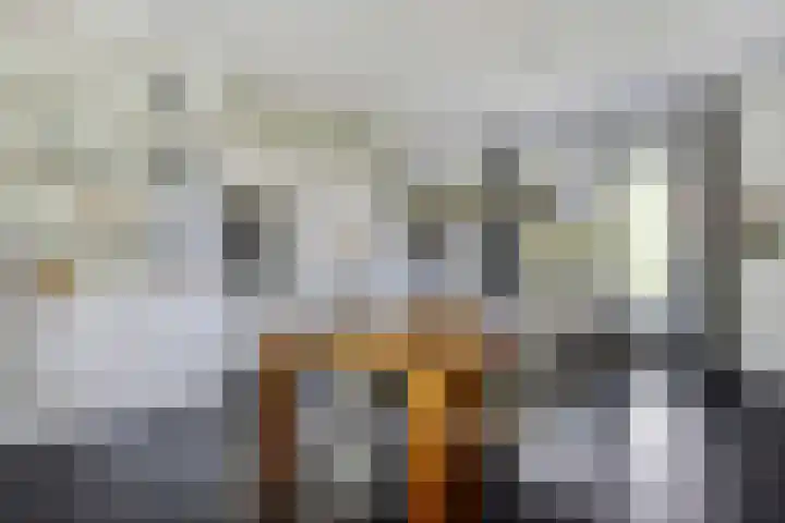 Dorsmolen 2 Denekamp thumbnail 9