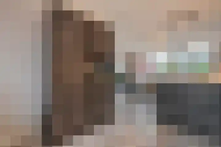 Dorsmolen 3 Zwolle thumbnail 16