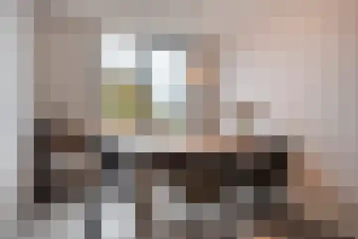 Dorsmolen 3 Zwolle thumbnail 17