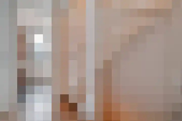 Dorsmolen 3 Zwolle thumbnail 20