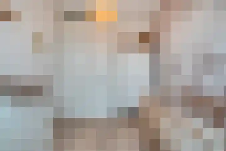 Dorsmolen 3 Zwolle thumbnail 30