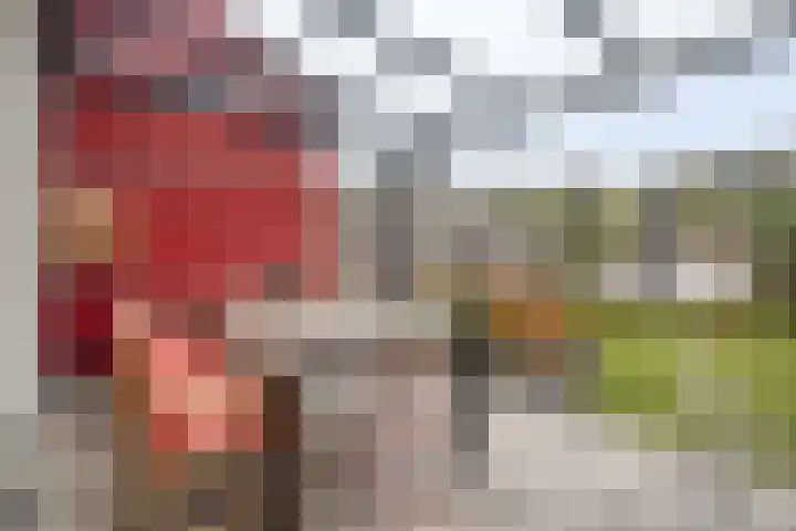 Dorsmolen 3 Zwolle thumbnail 33