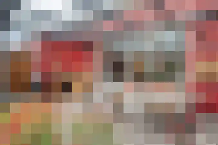 Dorsmolen 3 Zwolle thumbnail 34