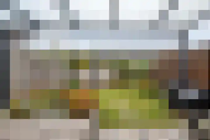Dorsmolen 3 Zwolle thumbnail 35