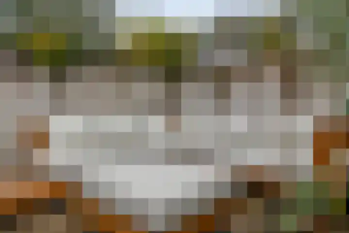 Dorsmolen 3 Zwolle thumbnail 36