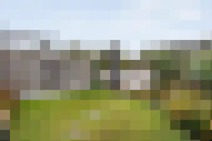 Dorsmolen 3 Zwolle thumbnail 37