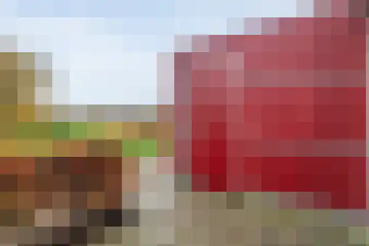 Dorsmolen 3 Zwolle thumbnail 39