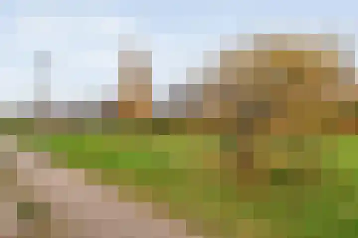 Dorsmolen 3 Zwolle thumbnail 40