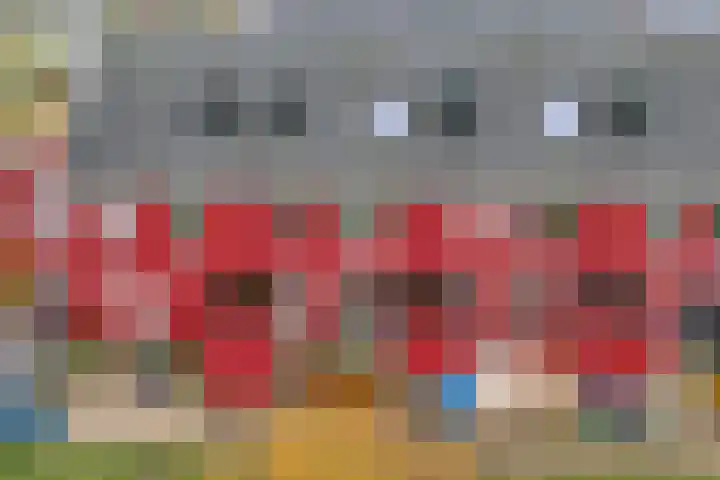 Dorsmolen 3 Zwolle thumbnail 41