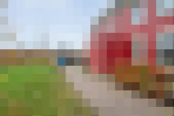 Dorsmolen 3 Zwolle thumbnail 42