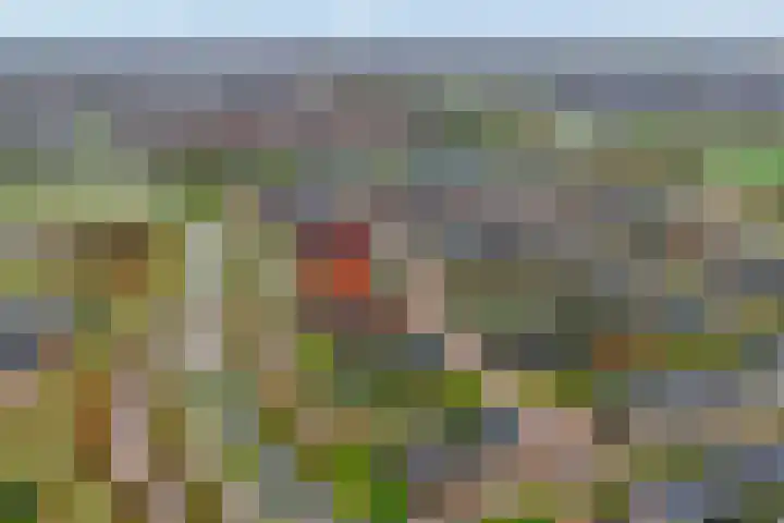 Dorsmolen 3 Zwolle thumbnail 44