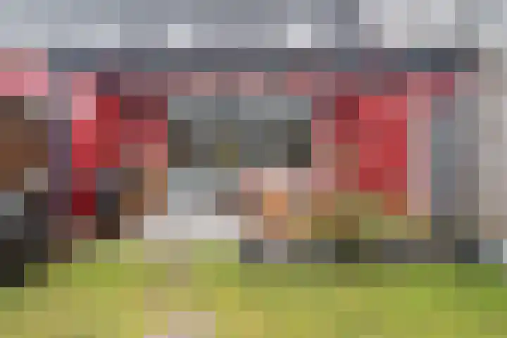 Dorsmolen 3 Zwolle thumbnail 5