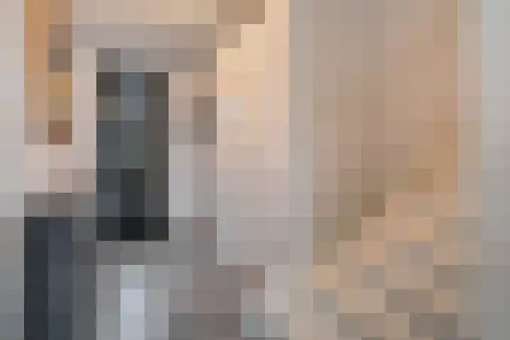 Dorsmolen 3 Zwolle thumbnail 7