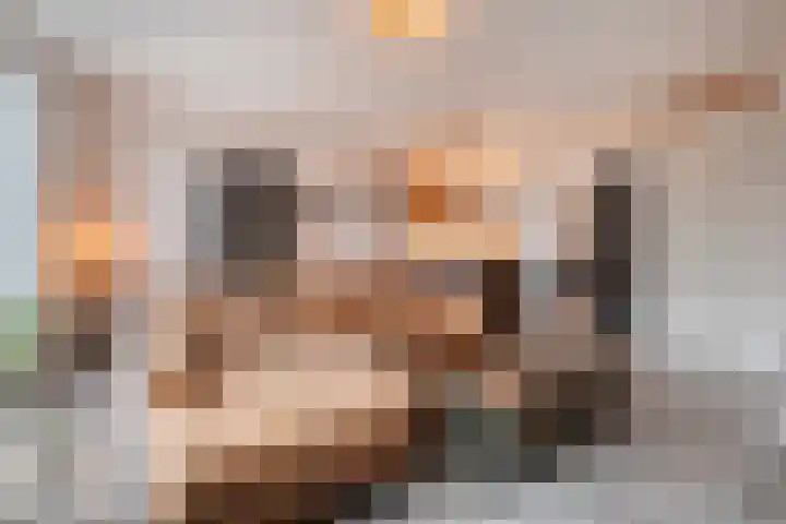 Dorsmolen 3 Zwolle thumbnail 8