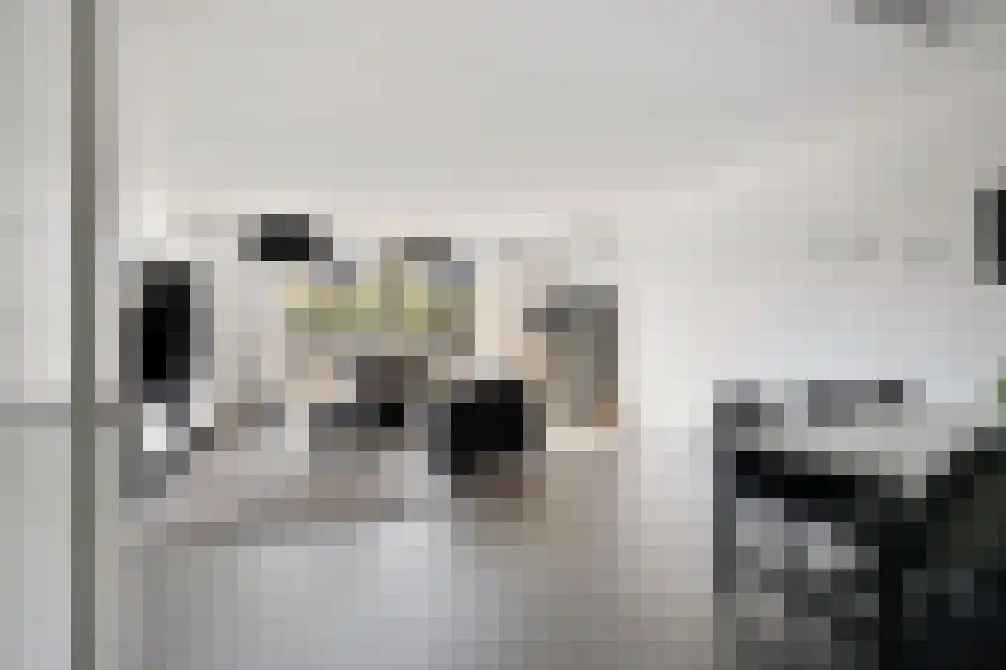 Dorsmolen 31 Zwolle thumbnail 13