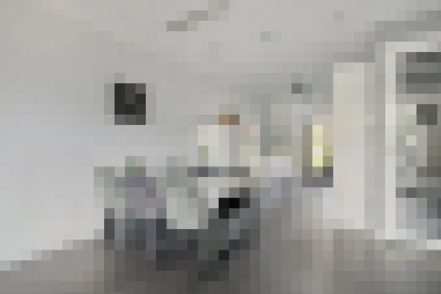 Dorsmolen 31 Zwolle thumbnail 14