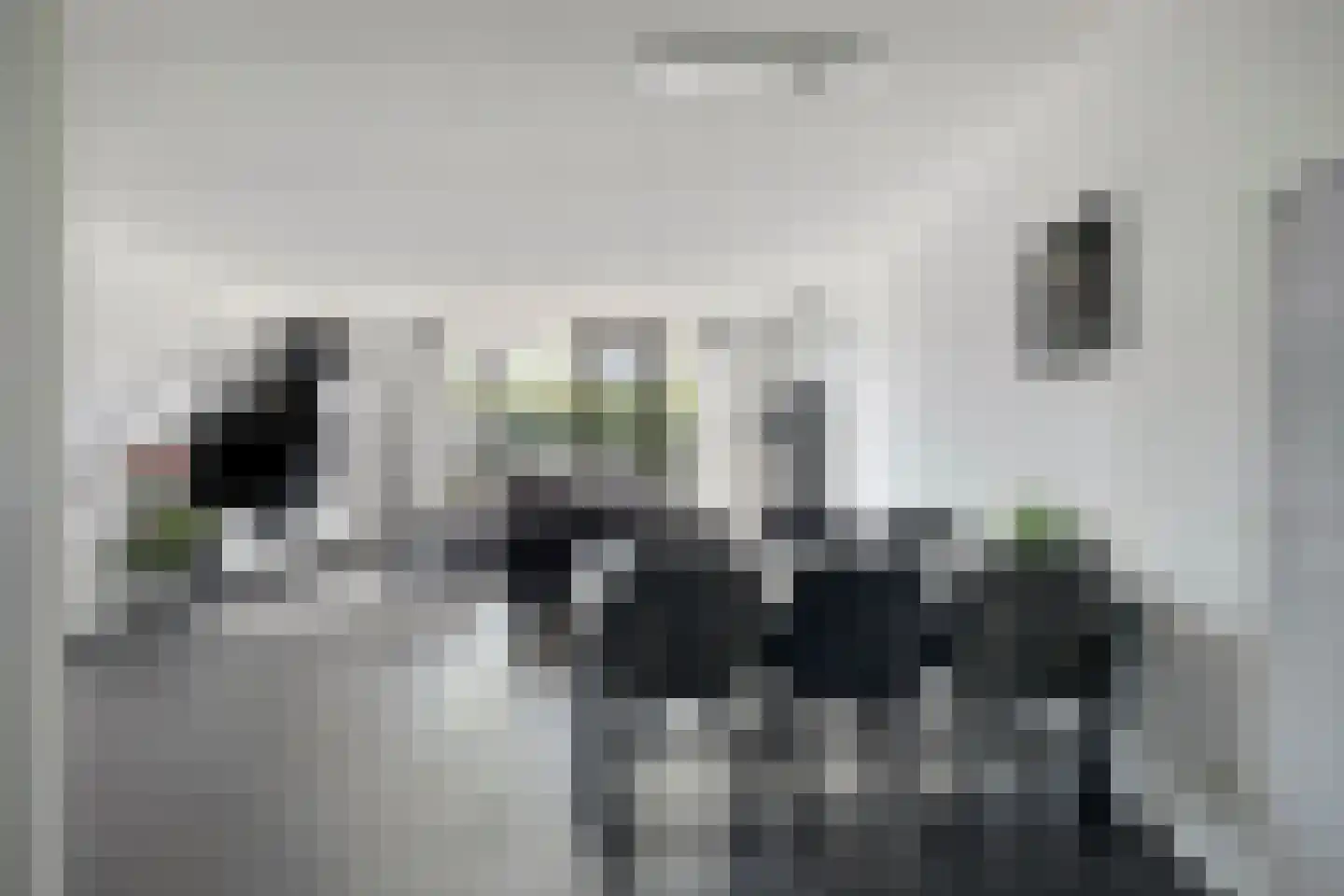 Dorsmolen 31 Zwolle thumbnail 17