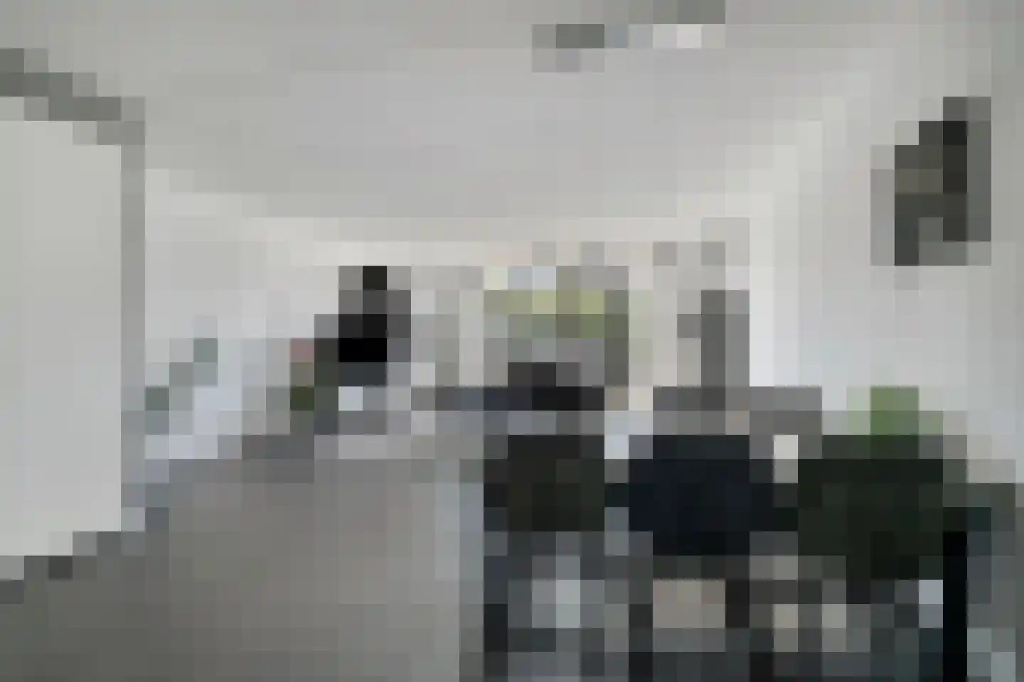 Dorsmolen 31 Zwolle thumbnail 18