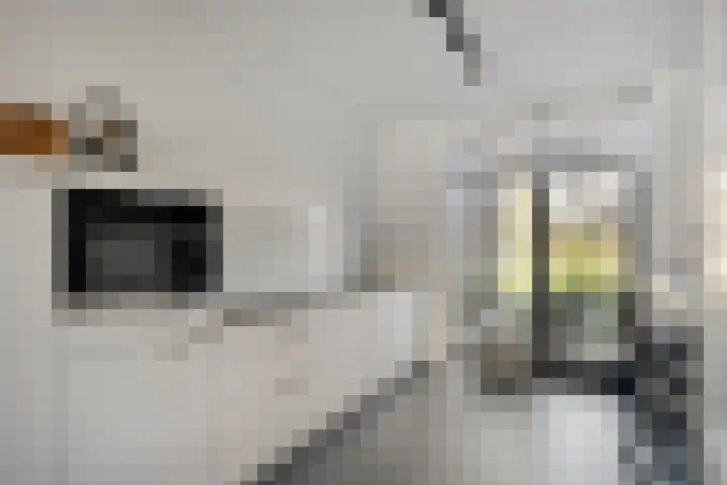 Dorsmolen 31 Zwolle thumbnail 19
