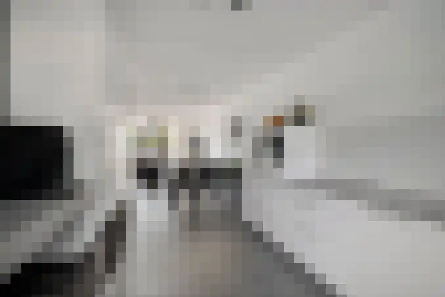 Dorsmolen 31 Zwolle thumbnail 20