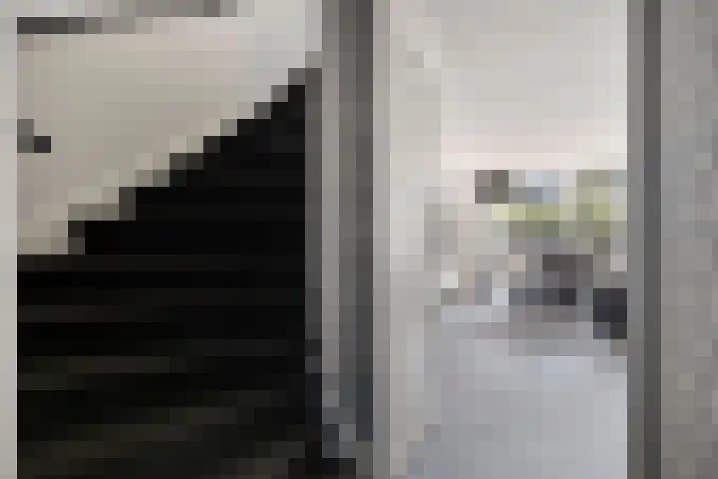 Dorsmolen 31 Zwolle thumbnail 23