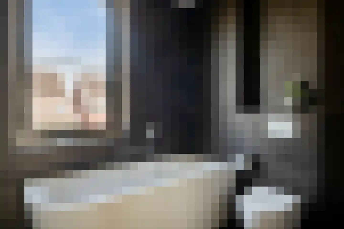 Dorsmolen 31 Zwolle thumbnail 33