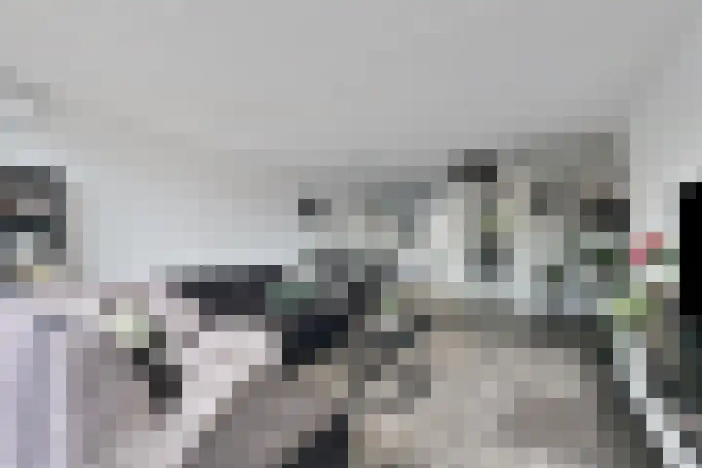 Dorsmolen 31 Zwolle thumbnail 6
