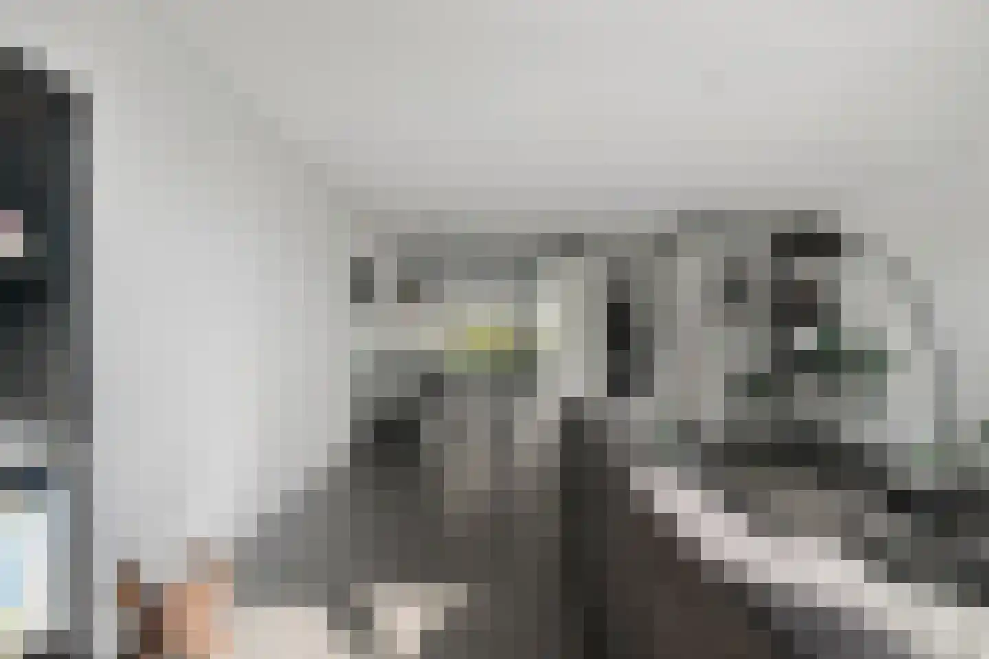 Dorsmolen 31 Zwolle thumbnail 7