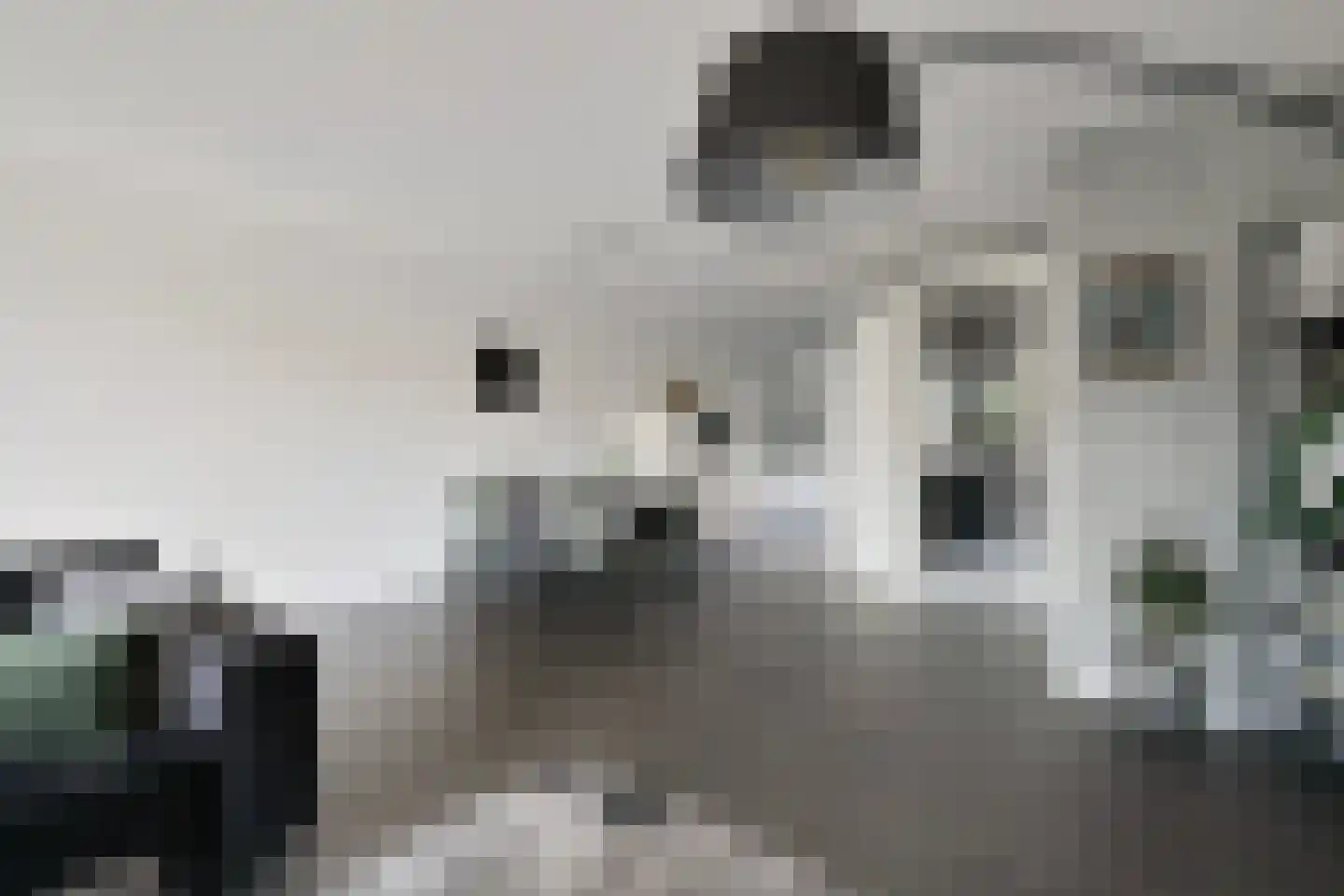 Dorsmolen 31 Zwolle thumbnail 8