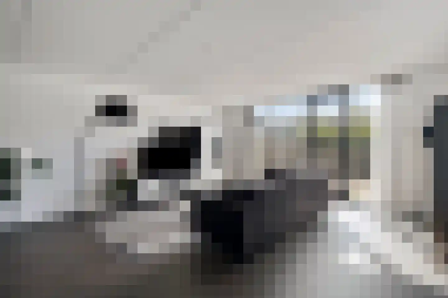 Dorsmolen 31 Zwolle thumbnail 9