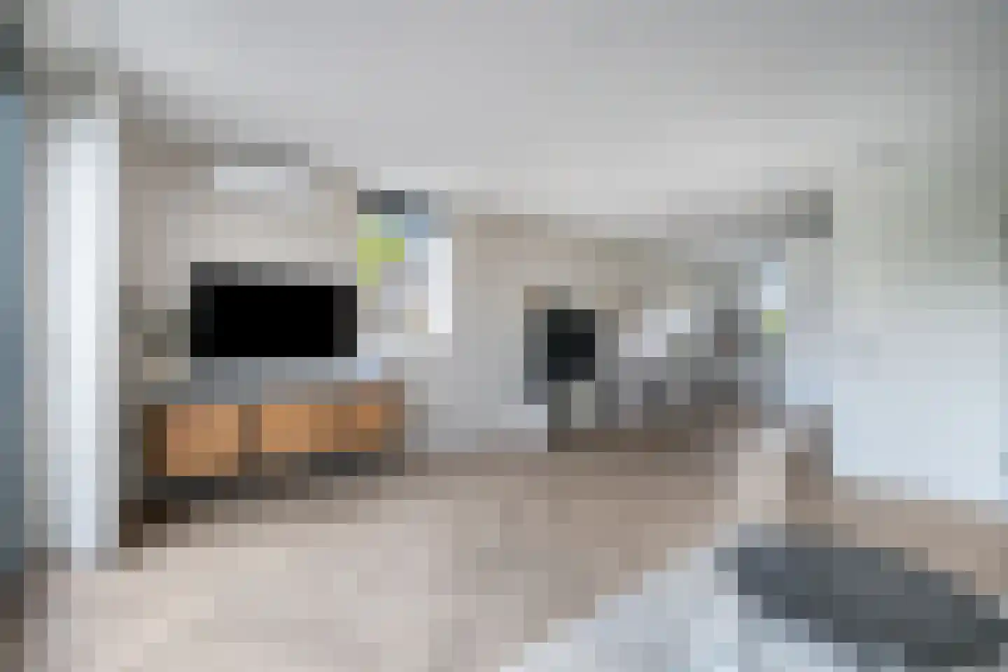 Dorsmolen 37 Zwolle thumbnail 11