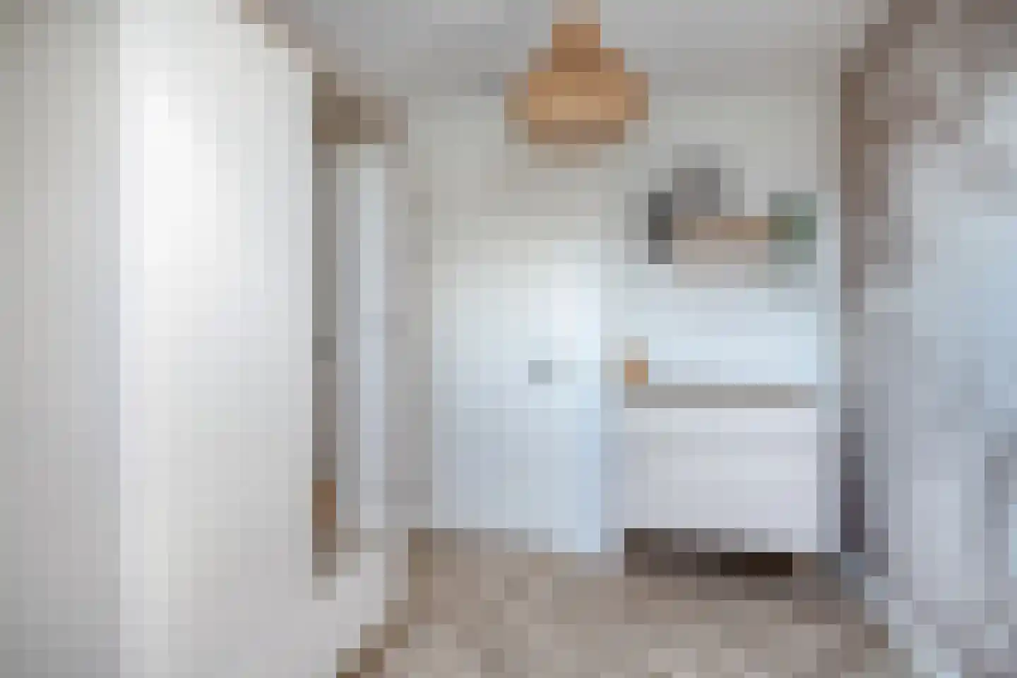 Dorsmolen 37 Zwolle thumbnail 28