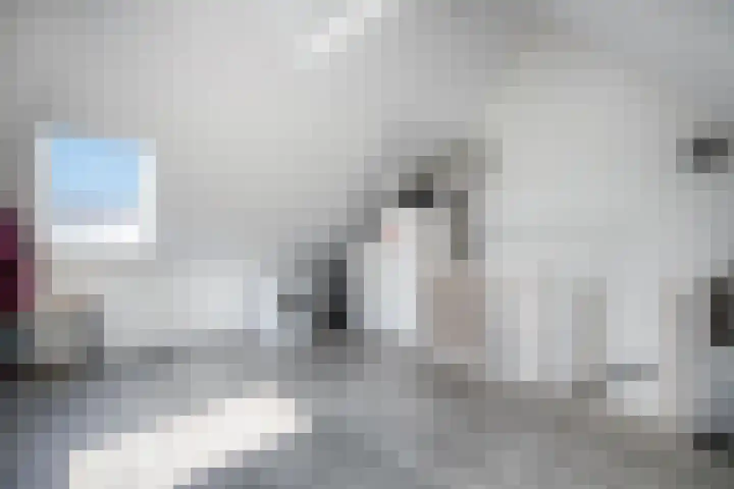 Dorsmolen 37 Zwolle thumbnail 33