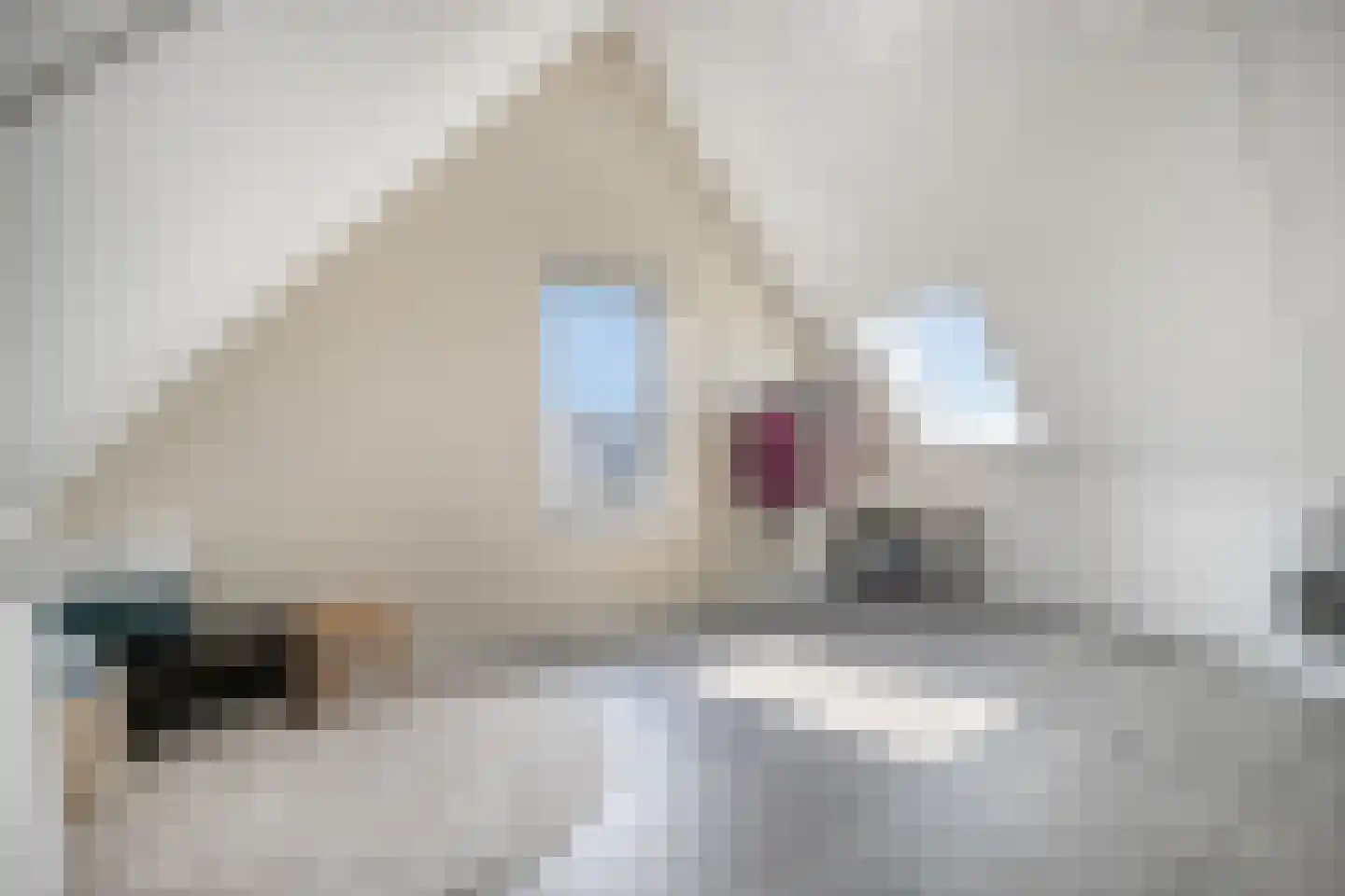 Dorsmolen 37 Zwolle thumbnail 34