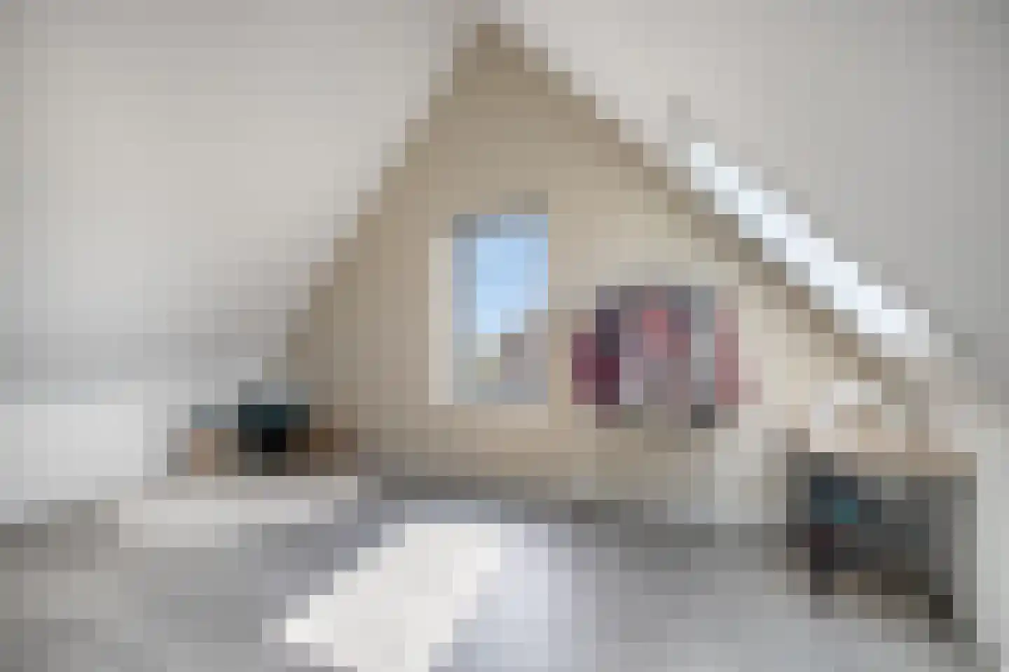 Dorsmolen 37 Zwolle thumbnail 35